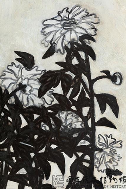 菊藏品圖，第3張