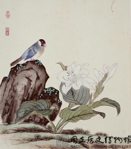鸚鵡花卉藏品圖，第1張