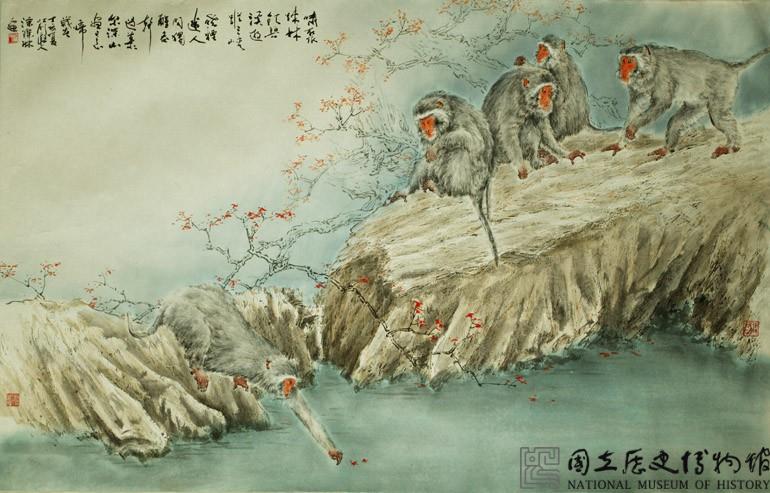 台灣獼猴藏品圖，第1張