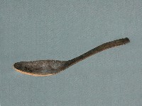 小木匙藏品圖，第1張