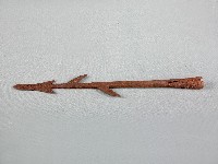 脫槍頭藏品圖，第1張