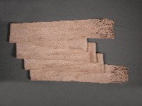 帶藏品圖，第1張