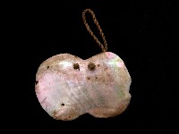 女耳飾藏品圖，第2張