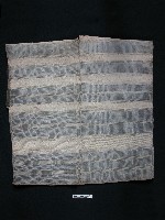 無袖上衣 藏品圖，第1張