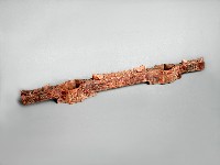 連杯藏品圖，第1張