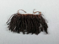 臂飾藏品圖，第1張