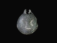 鈴藏品圖，第2張