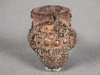 煙斗藏品圖，第1張