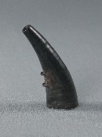 火藥筒藏品圖，第2張