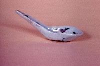 匙藏品圖，第1張