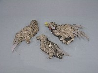 八角斗藏品圖，第187張