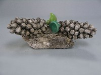 八角斗藏品圖，第194張