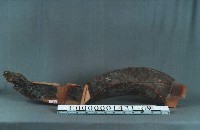 八角斗藏品圖，第11張