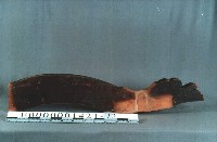 八角斗藏品圖，第5張