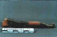 八角斗藏品圖，第9張