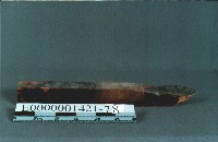 八角斗藏品圖，第10張