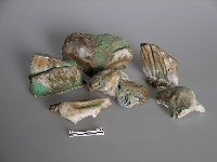 門對藏品圖，第2張