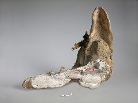 四鳳亭藏品圖，第1張