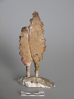 梅山收七怪 藏品圖，第1張