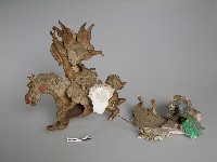 梅山收七怪 藏品圖，第1張