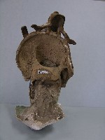 指鹿為馬藏品圖，第1張