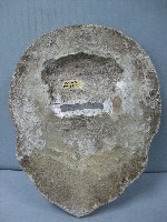 瓦當藏品圖，第1張