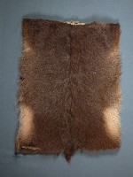 山羊皮衣藏品圖，第1張