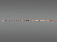 五年祭祭桿藏品圖，第1張