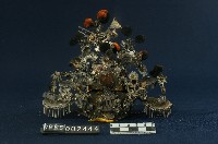 神帽藏品圖，第2張