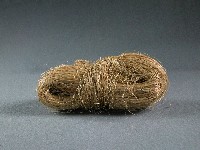 苧麻藏品圖，第2張