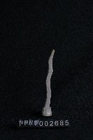 布袋戲道具(焰形茅)藏品圖，第1張