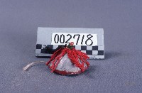 布袋戲道具(帽)藏品圖，第1張