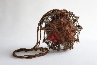 刺球藏品圖，第1張