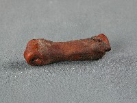 竹筒(骨)藏品圖，第1張