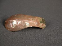 貝匙藏品圖，第1張