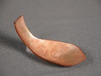 貝匙藏品圖，第1張