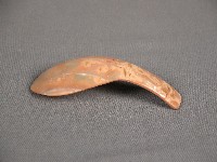 貝匙藏品圖，第2張