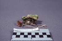 戲帽藏品圖，第1張