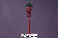 五營頭藏品圖，第1張