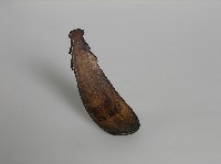 匙 藏品圖，第1張