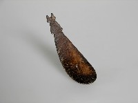 匙 藏品圖，第1張