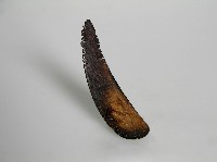 匙 藏品圖，第1張