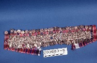 銀馬頭花藏品圖，第1張