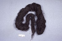 髮飾藏品圖，第1張