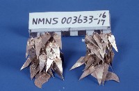 衣服藏品圖，第8張