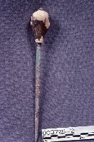 五營頭藏品圖，第3張