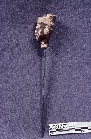 五營頭藏品圖，第3張