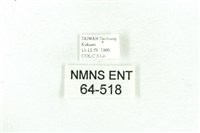 乳白斑燈蛾藏品圖，第3張