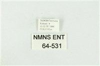 黑翅黃毒蛾藏品圖，第3張