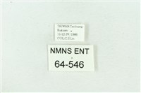 菊池污燈蛾藏品圖，第3張